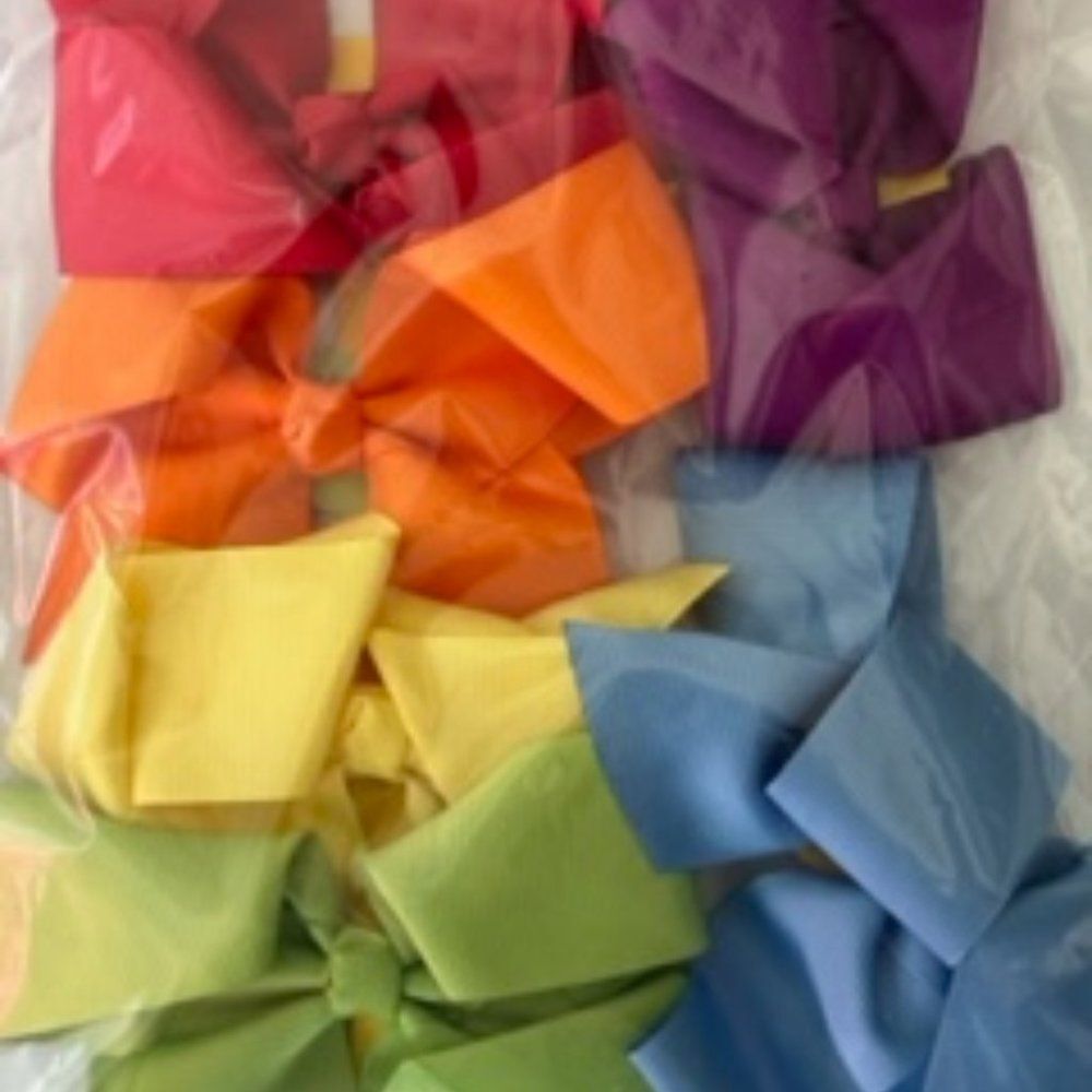 Bundle of (6) 4" Bows - Rainbow Colors B8209  Handmade NWT Boutique